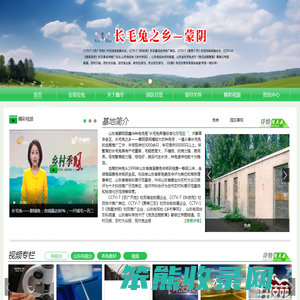 长毛兔
