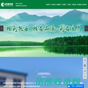 肉鸡屠宰加工