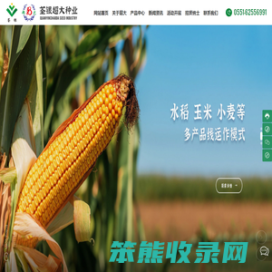 安徽荃银超大种业有限公司