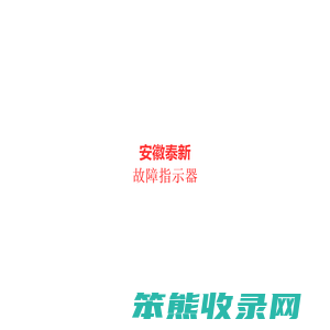安徽泰新