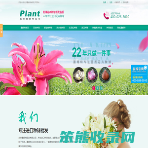进口种球