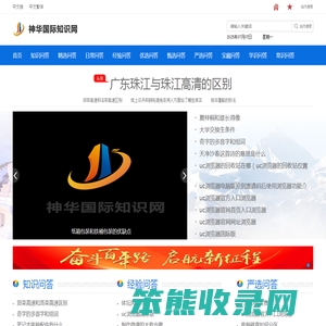神华国际