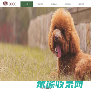 新风景宠物网