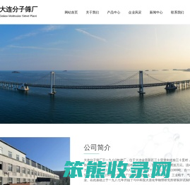 大连分子筛厂