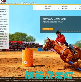 金支点IT服务