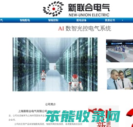 新联合电气