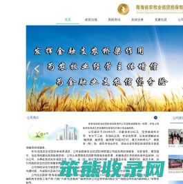 青海省农牧业信贷担保有限责任公司