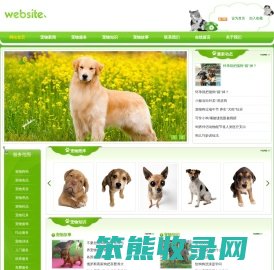 网站首页