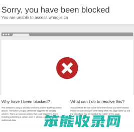 熊猫DJ虚拟DJ数字分身｜VR打碟设备｜NFT音乐藏品