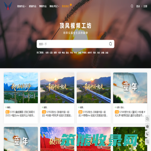 顶风视频工坊