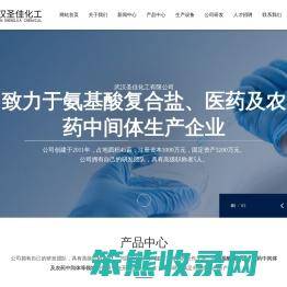 武汉圣佳化工有限公司