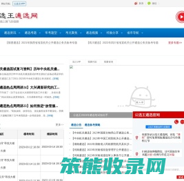 公选王遴选网