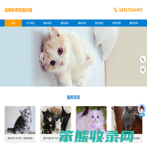 昆明东奇尼猫价格