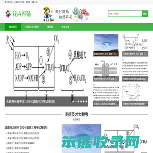 炎德英才大联考试卷答案2024