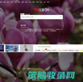 cc0图片网（cc0.cn）