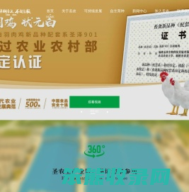 圣农集团