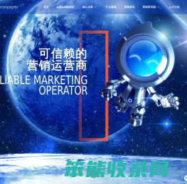 Netconcepts（耐特康赛）