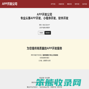 APP开发公司