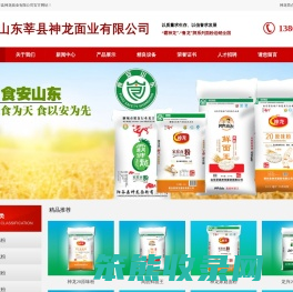 山东莘县神龙面业有限公司