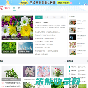 花缘鲜花网