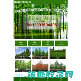南县正波苗木种植专业合作社
