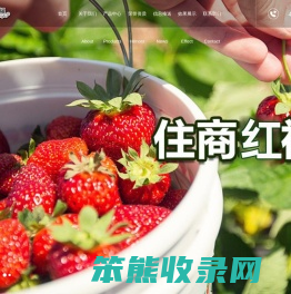 进口复合肥,硝硫基复合肥,脲甲醛复合肥,山东住商红福农业发展股份有限公司