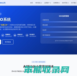 网站优化