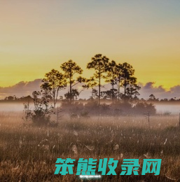 我的导航
