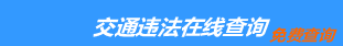 (手机版)河源交通违章查询