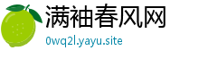 满袖春风网
