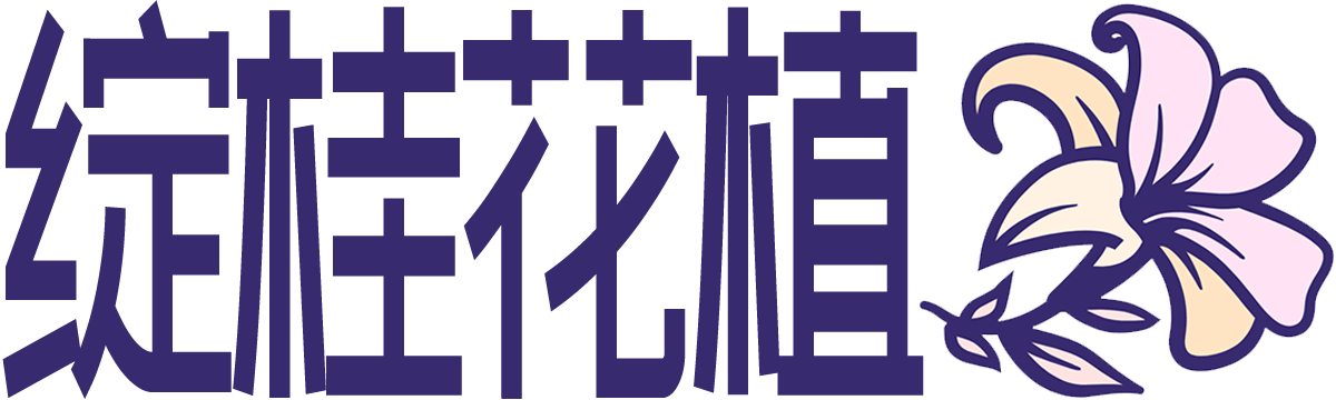 绽桂花植