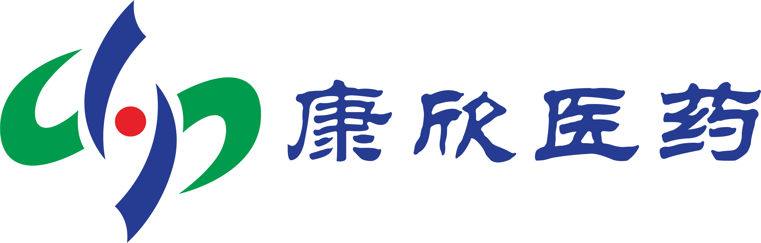 湖北康欣医药有限公司