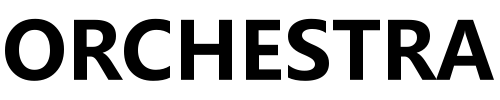视效管理