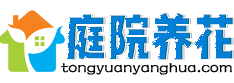 庭院养花网