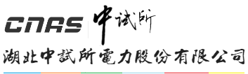 湖北中试所电力股份有限公司