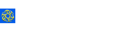 安徽盘龙企业拍卖集团有限公司