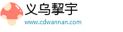 义乌市挈宇网络科技有限公司