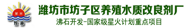 沸石粉