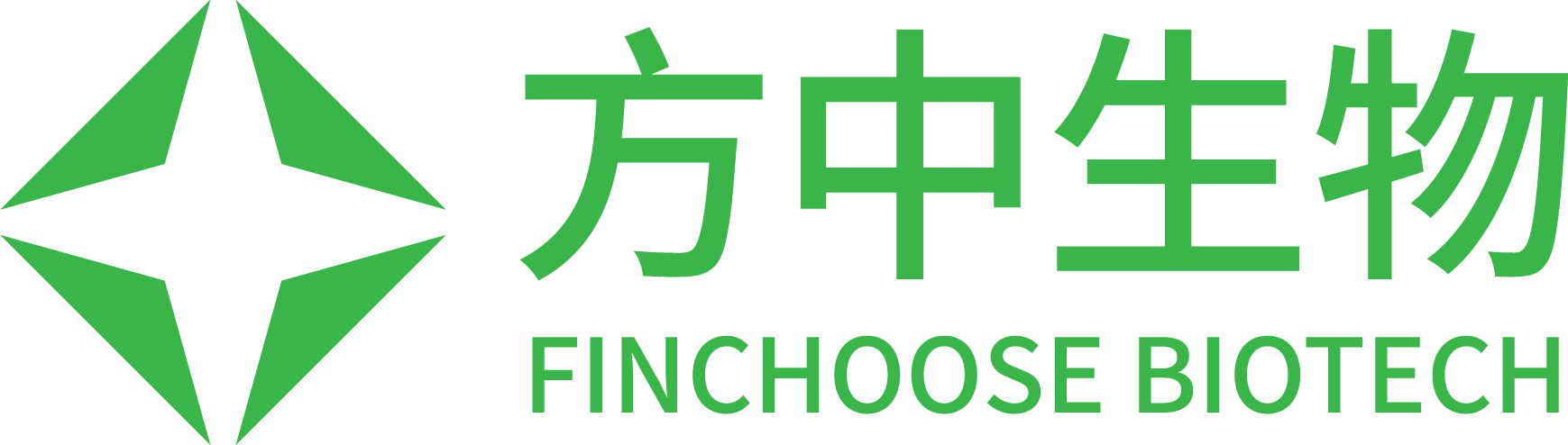 我的网站