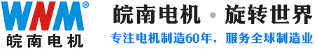 保定皖南电机