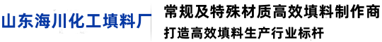 山东海川化工填料厂,三角螺旋,卡农,西塔环