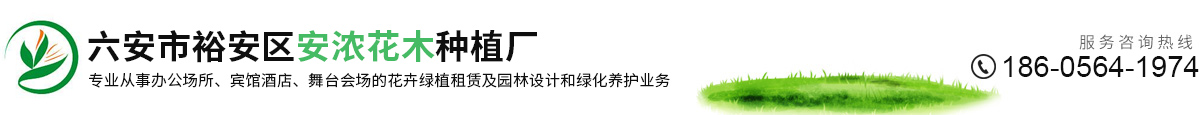 六安花卉租摆