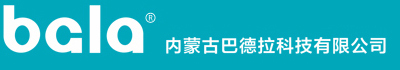 内蒙古巴德拉科技有限公司