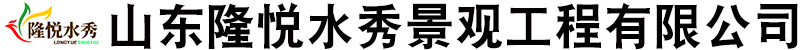 山东隆悦水秀景观工程有限公司