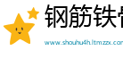 钢筋铁骨网