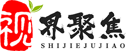 明星代言多少钱♡经纪人对接