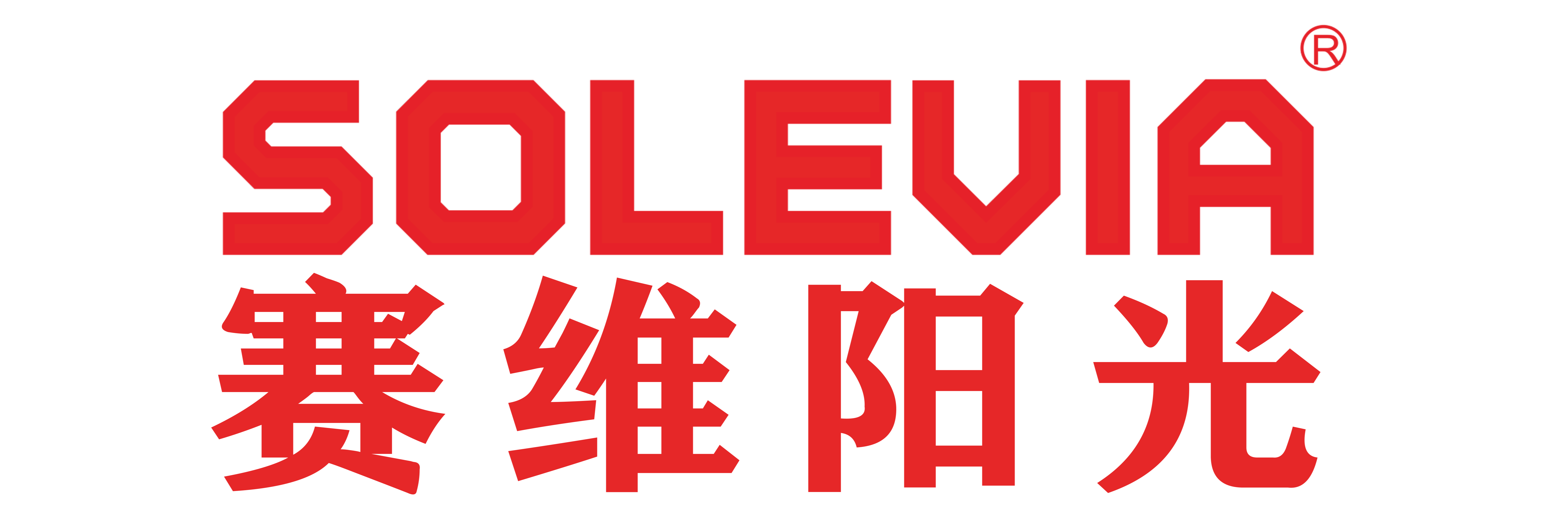 天津赛维阳光科技有限公司