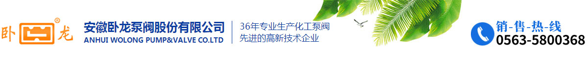安徽卧龙泵阀股份有限公司