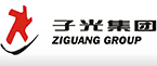 子光公司