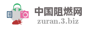中国阻燃网